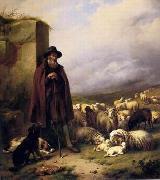 unknow artist Sheep 176 France oil painting artist